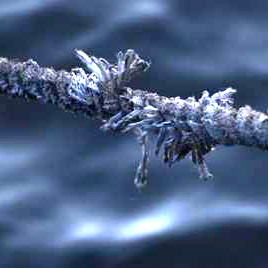 Film fra Eurodok: Wrong time, wrong place