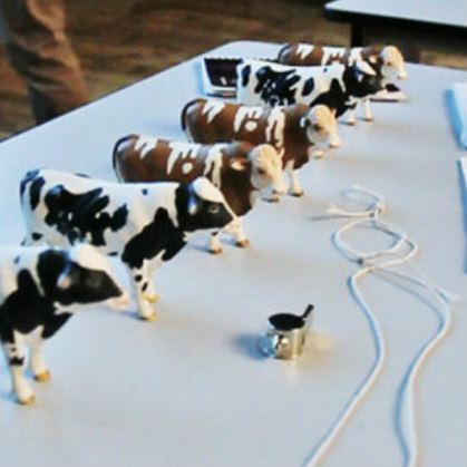 Meteor: Cheap Lecture / Cow Piece