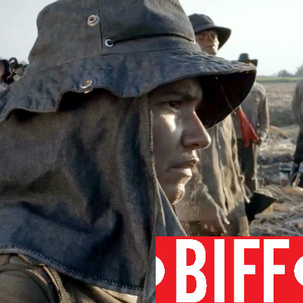 BIFF: Land and Shade