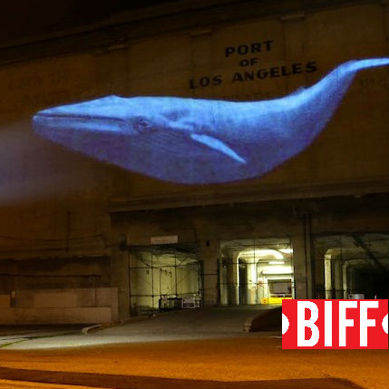 BIFF: Racing extinction