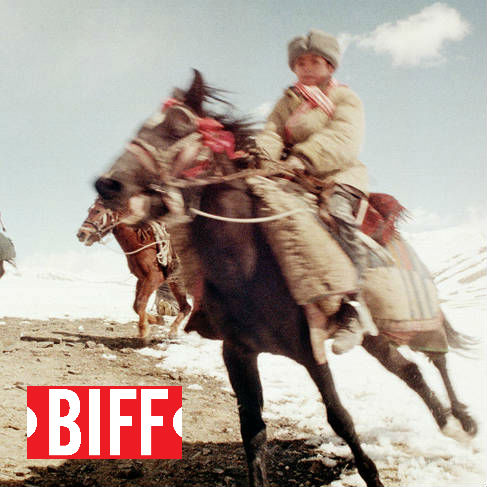 BIFF: The land of the enlightened