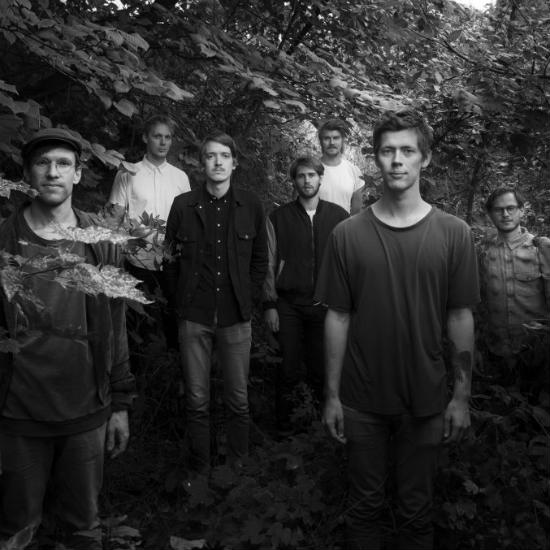 Megalodon Collective