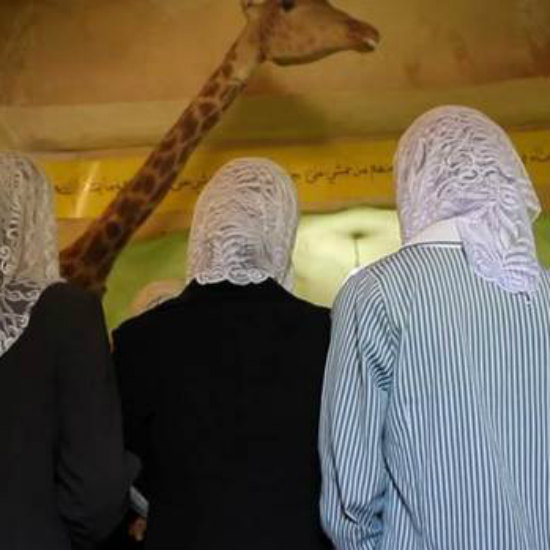 Arabiske filmdager: Waiting for Giraffes