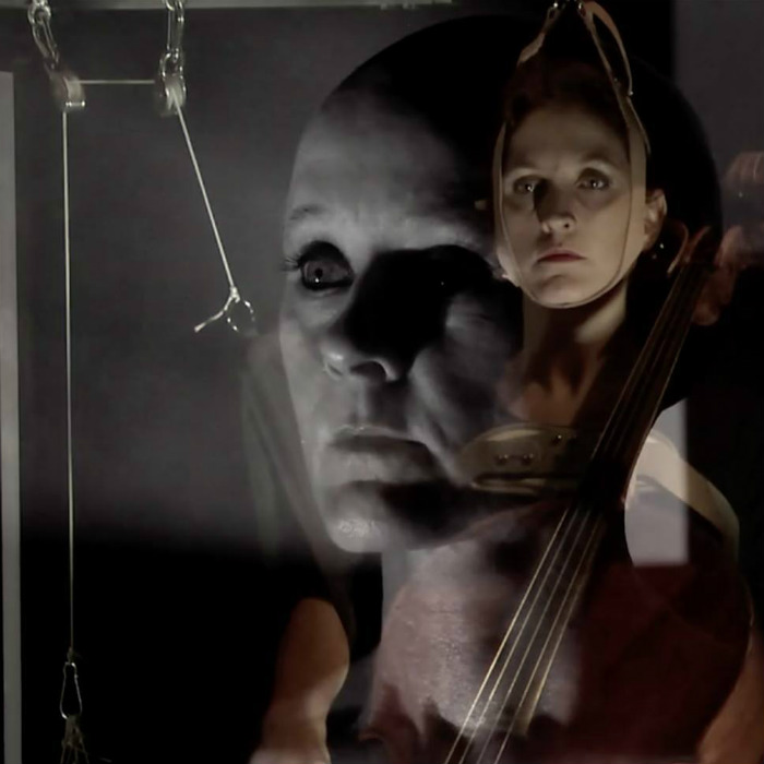 Hospice Lazy - Alwynne Pritchard/Alpaca Ensemble